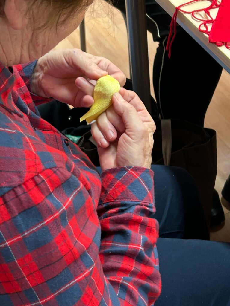 Aktywny Senior na +5 Edycja 2025
